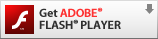 Adobe flash player