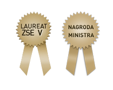 Golden Website Award for Energomontaż-Południe SA